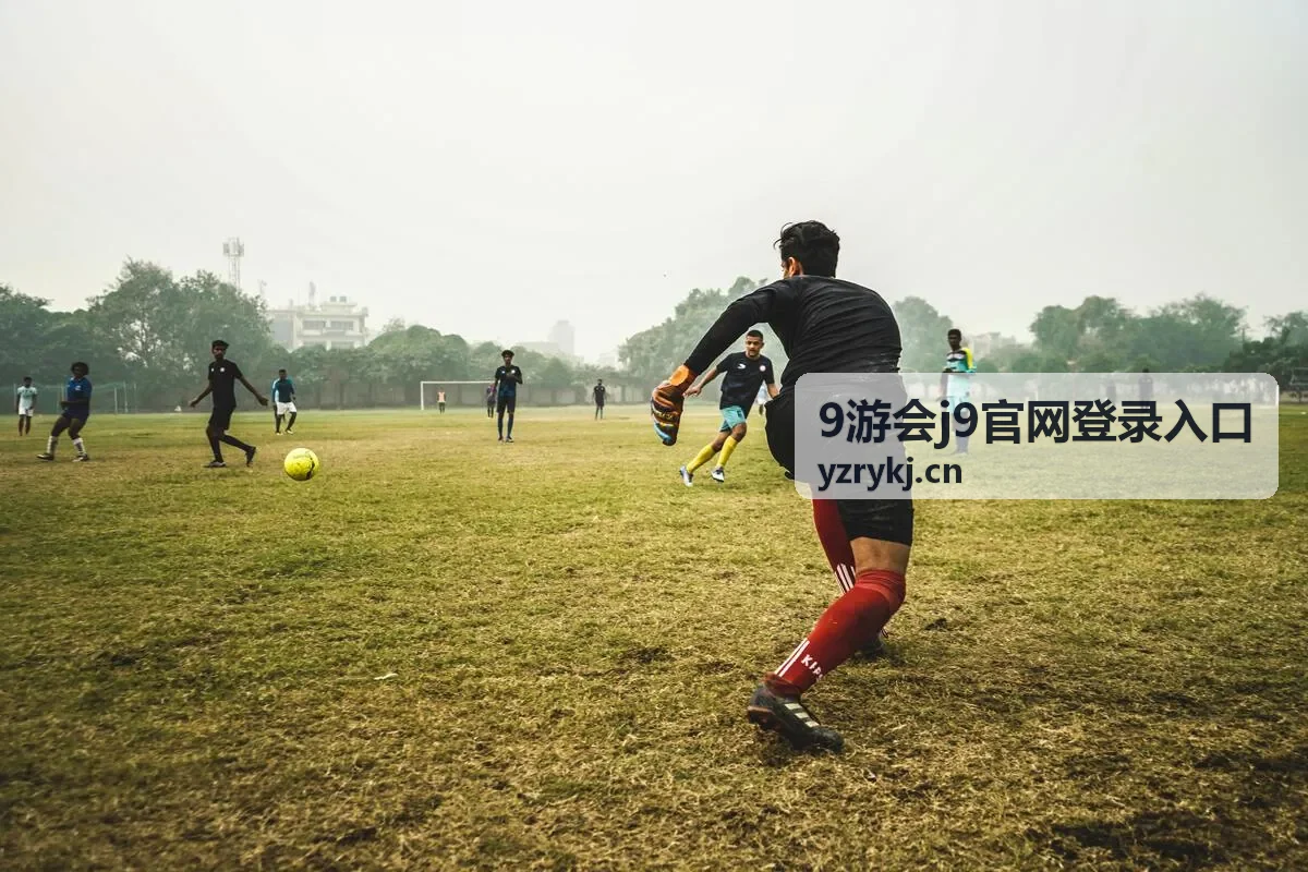 核对9游会j9官网登录入口地址的操作示意图